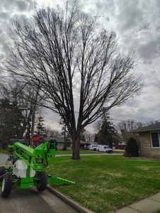 Our Tree Trimming service enhances your landscape's beauty and health with expert shrub trimming, improving growth, shape, and safety. Trust us to maintain vibrant greenery for a stunning outdoor space. for Big River lawn Care services and snow LLC in Wausau, WI