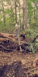 We are a full-service landscaping company that offers firewood supplies to our customers. We have a variety of wood types available, and we can deliver it right to your doorstep. for JD's Tractor Works, LLC. in Savannah, GA