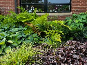 Our residential lawn care services provide comprehensive maintenance solutions, ensuring your landscape remains healthy and vibrant year-round with expert attention to detail and personalized care for every aspect of your outdoor space. for Christina King Landscape Design in West Raleigh, NC