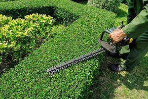 Enhance your home's curb appeal with our expert shrub trimming service, ensuring healthy growth and beautifully shaped plants that complement your landscape. Trust us to maintain a neat and vibrant garden year-round. for R and R Landcare in Birch Run, MI