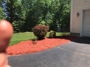 Our Shrub Trimming service is perfect for homeowners who want to keep their shrubs looking neat and tidy. We will trim your shrubs to perfection, ensuring that we look beautiful all year round. for Smittys Property Maintenance LLC in Wethersfield, Connecticut