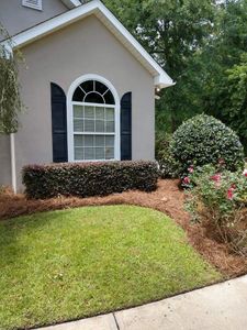 Our Shrub Trimming service ensures your garden's shrubs are professionally maintained, enhancing the overall beauty and aesthetic appeal of your outdoor space. for Down & Dirty Lawn Svc  in Tallahassee, FL