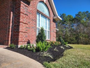 Our Shrub Trimming service helps enhance the beauty of your outdoor space by professionally trimming and shaping shrubs, creating a well-maintained and picturesque landscape. for Bruno's Professional Lawn's & Landscape in Beaumont, Texas