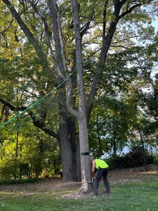 Our Tree Removal service provides homeowners with professional and efficient solutions to safely remove unwanted or hazardous trees from their property. for Firescape LLC in Lake Geneva, WI