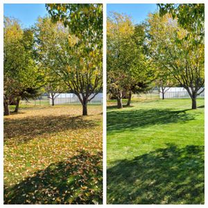 Our Fall and Spring Clean-up service ensures a pristine outdoor space by removing debris, cleaning gardens, trimming trees, and maintaining hardscape elements for homeowners seeking a well-maintained landscape. for Yeti Snow and Lawn Services in Helena, Montana
