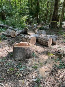 We provide professional stump removal services for homeowners to easily and quickly get rid of unsightly stumps in their yards. for Rosales Landscaping LLC in Lake Gaston, North Carolina