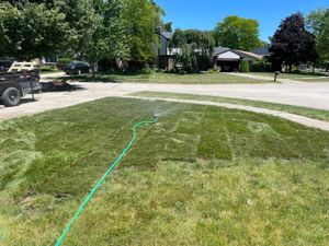 Transform your outdoor space into a stunning oasis. Our landscape design service offers personalized plans that combine creativity and functionality, ensuring beautiful, sustainable gardens tailored to your unique style and needs. for PineView Property Services in Canton, MI