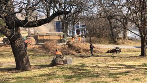 Our Spring and Fall Clean-Ups provide home and business owners with comprehensive cleaning and maintenance solutions to keep their yards tidy throughout the changing seasons. for Thomas' Lawn Care in Maryville, MO