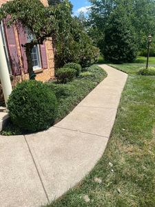 Our Shrub Trimming service ensures your home's shrubs are expertly pruned and shaped, enhancing the overall appearance of your landscape. for Cincinnati’s Finest Landscape Services LLC in Cincinnati, OH