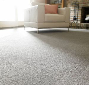 Our Carpet Cleaning service is the perfect way to keep your carpets looking new. Our team of experts uses the latest equipment and techniques to clean every nook and cranny, leaving your carpets looking and smelling fresh. for Sexton's Fresh Floors in Jefferson, GA