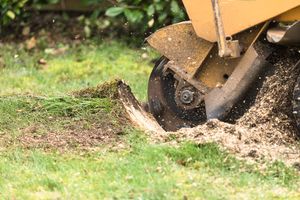 Our Stump Removal service offers homeowners a hassle-free solution to eliminate unsightly tree stumps, restoring the beauty and safety of their outdoor spaces. for RR Tree Service & Lawn Care LLC in Baraboo,  WI