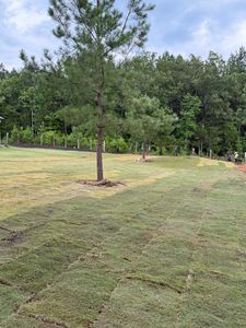 Our sod installation service ensures a lush, green lawn with expert attention to soil preparation and turf layering, perfectly complementing our professional mulch installation for enhanced landscape health and aesthetics. for Alvarez Landscape & Hardscape Service in Rock Hill, SC