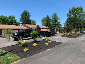 We offer a full Plants & Trees Installation and Design service to transform your garden into an oasis of beauty. Let us create the perfect outdoor space for you! for Hennessey Landscaping LLC in Oxford,  CT 