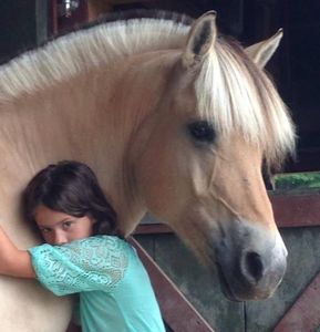 Join us for a hands-on day, where you'll move hay, clean stalls, groom, blanket, bathe, clip, and more. Get a taste of what it's like to care for horses as if they were your own. for Blue Stone Farm in Wantage, NJ