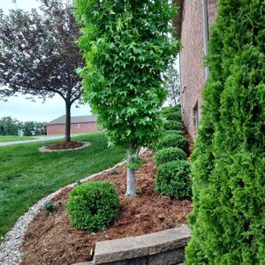 Our Mulch Installation service provides homeowners with a hassle-free and professional solution for enhancing the aesthetics and health of their landscape beds by adding a protective layer of mulch. for Lamb's Lawn Service & Landscaping in Floyds Knobs, IN