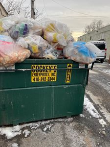 Keeping your yard clean is essential so we're always here to help with any removals you might need. for Junk Removal Trash Removal Hauling & Donation Moma Services in Baltimore, MD
