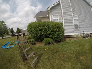 Our Shrub Trimming service is the perfect way to keep your landscaping looking its best. We will trim and shape your shrubs to perfection, ensuring that we look neat and tidy. Let us take care of all your shrub trimming needs! for A&B Landscaping L.L.C. in Lapeer, MI
