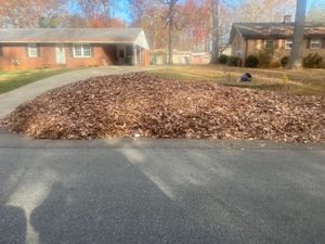 Our Fall Clean Up service includes leaf removal, gutter cleaning, hedge trimming, and lawn reseeding to prepare your yard for winter. Let us help you maintain a clean and healthy outdoor space. for America's Top Pick Lawn & Landscaping in Gastonia, NC