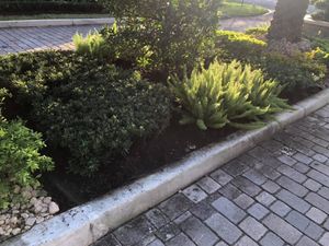 Our Shrub Trimming service provides professional and meticulous care to shape, prune, and maintain your shrubs, enhancing the overall appearance of your landscape. for VS Landscaping Services inc. in Fort Lauderdale, FL