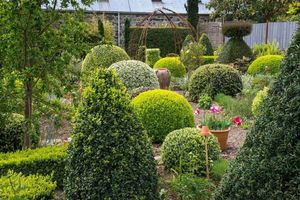 Keep your landscape looking pristine with our expert shrub trimming services. We shape and maintain your shrubs to enhance beauty, promote healthy growth, and complement the overall aesthetics of your garden. for La Fountain Tree Service in Louisville, KY