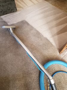 Our Deep Carpet Cleaning service utilizes advanced techniques to effectively remove embedded dirt, stains, and odors from your carpets, leaving them refreshed and revitalized. for Pro Clean Carpet Care in Sierra Vista, AZ