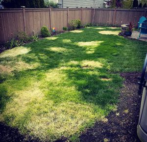 Our Irrigation Services provide efficient and reliable irrigation solutions to keep your lawn and landscape properly watered, ensuring healthy growth and saving you time and effort. for A Living Art Landscaping in Everett, WA