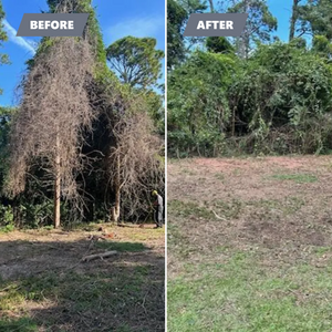 Our Fall and Spring Clean Up service helps homeowners maintain a tidy and well-groomed outdoor space by removing fallen branches, debris, and other seasonal clutter from their premises. for Tucker's Tree Service and Stump Grinding in Lugoff, SC