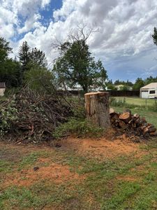 Our expert Tree Removal service ensures safe and efficient removal of unwanted or hazardous trees, enhancing your property's beauty and safety while minimizing disruption to your landscape. Contact us for a consultation. for Graham’s Tree Services in Pierce, CO