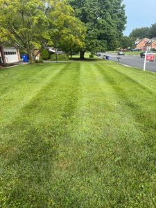 Our expert mowing service ensures a lush, well-maintained lawn with precise trimming and professional care, enhancing your home's curb appeal while saving you time and effort. experience exceptional lawn perfection today. for Walsh Lawn And Landscape in Olney, MD
