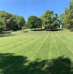 Our Lawn Maintenance service is the perfect solution for busy homeowners who want a perfectly manicured lawn without having to do the work themselves. We offer mowing, edging, trimming, shrub trimming and more.  for Adams Landscape Management Group LLC. in Loganville, GA