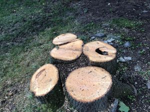Our stump removal service safely eliminates unsightly stumps, improves curb appeal, prevents pests and tripping hazards, and prepares your yard for new landscaping, grass growth, or future outdoor projects. for All American Tree Services LLC in Dallas, PA