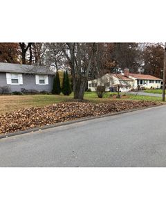 Our Fall and Spring Clean-Up service is a great way to get your yard cleaned up before the winter or summer. We will clean up all of the leaves, branches, and other debris from your yard. for B&L Management LLC in East Windsor, CT