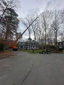Enhance your property's safety and beauty with our professional Tree Trimming service, designed to promote healthy growth, prevent potential hazards, and improve the overall appearance of your landscape. for Rawls Tree Care in Richmond, VA