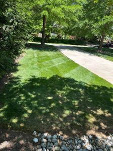 Our mowing service keeps your lawn immaculate, enhancing your home's curb appeal. Trust our professionals for timely, efficient care that ensures a healthier and more beautiful yard throughout the growing season. for San-Lee Lawncare & Fencing in Sanford, NC