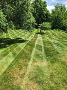 Fertilization will help your lawn by improving overall health and making it greener and thicker. Fertilization helps the lawn not only look better, but last longer. for Puleo Landscape LLC in Chittenango , NY