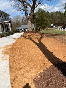 Our grading service offers homeowners accurate and reliable assessment of their property's condition, ensuring proper land leveling and drainage for optimal functionality. for Southern Land Solutions Forestry Mulching, LLC in Cleveland, NC
