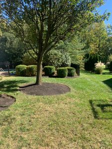 Our Mulching service is a great way to improve the appearance of your lawn while protecting it from the elements. We use high-quality mulch that will keep your lawn looking healthy all year long. for Castle JR Landscaping & Painting LLC in Cincinnati, OH