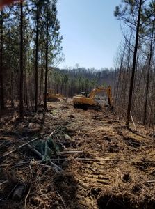 Our Forestry Mulching service efficiently clears overgrown land, transforming dense vegetation into nutrient-rich mulch. This eco-friendly solution enhances soil health, prevents erosion, and prepares your property for landscaping or construction projects. for Fisher Hauling And Grading in Rockingham County, NC