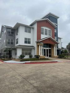 Transform your home with our expert commercial painting services. We provide high-quality finishes, personalized color consultations, and exceptional attention to detail that enhance the beauty and value of your space. for GEOS Painting in New Braunfels, TX