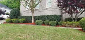 Our Shrub Trimming service ensures neatly trimmed and shaped shrubs, enhancing the overall appearance of your property and maintaining a well-manicured landscape. for Andres Landscaping, LLC in Decatur, AL