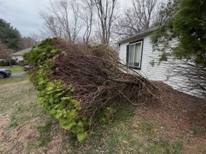 Our Tree Removal service offers safe, efficient removal of unwanted or hazardous trees, utilizing professional equipment and skilled experts to enhance your property's appearance and maintain a safe environment. for G1 Excavation LLC in Titusville, NJ