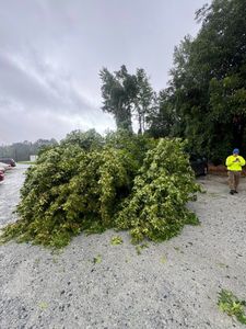 Our Storm Services help protect your home by offering expert tree removal and trimming, ensuring safety and reducing damage risks during severe weather conditions. Trust our team to secure your property efficiently. for DW’s Tree Service in Winston-Salem, NC