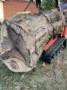 Stumps can be incredibly frustrating to deal with on a property. Let us bring our stump grinder over and take care of any size stump within a single afternoon. for Tree Guys Pressure Washing & Stump Grinding in Scottsboro, AL