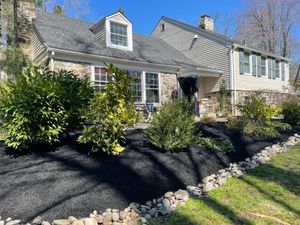 Our shrub trimming service is the perfect way to keep your bushes looking their best. We'll trim them into shape and make sure we're healthy and beautiful. for GM Landscaping  Construction LLC in Philadelphia, Pennsylvania