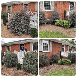 Our Shrub Trimming service is designed to keep your shrubs looking their best all year long. We'll trim them as needed and remove any debris from the area. for Sabre's Edge Lawn Care in Greenville, NC