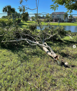 Our Debris Removal service helps homeowners get rid of all the unwanted waste and materials left behind after a hurricane or heavy rain efficiently. for Junk Heroes in Orlando, FL