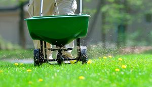 Enhance your lawn's health and beauty with our professional fertilization services, designed to provide essential nutrients for lush growth, vibrant color, and robust vitality throughout every season. for SodGods Lawncare and Landscaping in Fayetteville , NC