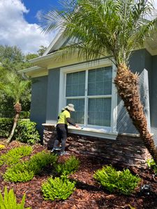 Our professional Window Cleaning service is designed to provide homeowners with streak-free and sparkling windows, enhancing the overall appearance of your house. for Verimay's Cleaning Service in Hillsborough County, FL