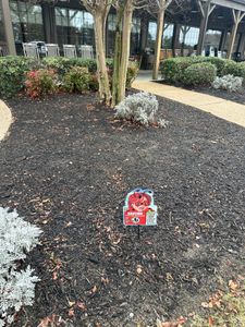 Our Vegetation Control service ensures your property remains pristine by efficiently managing unwanted plant growth, preventing infestation, and enhancing the overall curb appeal of your concrete, gravel, or asphalt areas. for Kathleen's Lawn & Shrub Care in Augusta, GA