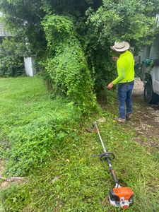 We provide professional tree removal services to help keep your property safe and looking great. Our experienced team will safely and efficiently remove any unwanted trees. for Nunez Concrete & Landscape LLC in Tampa Heights, FL